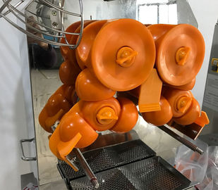 Ticari Meyve Suyu Sıkacağı Makinesi Otomatik Besleme Portakal Sıkacağı Kompakt Tasarım