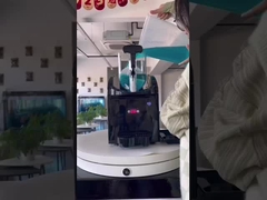 Elektrikli Slus Makinesi 3L Çift Tank Küçük Ev ve Ticari Kullanım