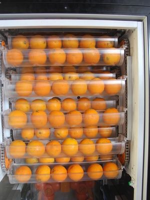 Soğuk Buzdolabı Taze Sıkılmış Portakal Suyu Vending Machine Uzun Yaşam Süresi